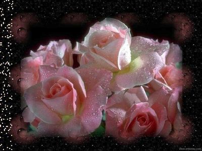 bel fleur:::::::::::::::::::::::::::::::::::::::::::::::::::::::::::::::::::::::::::::::::::::::::::::::::::::::::::::::::::::::::::::::